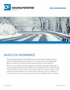 Winter Safety Tips: Black Ice icon